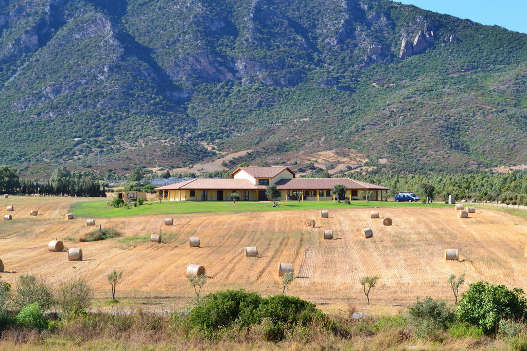 Saludi&Trigu - Rural Apartments Iglesias Exterior foto